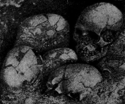 Захоронение черепов из пещеры, Офнет (Бавария, азилъская эпоха). Всего в пещере в двух нишах обнаружено 33 черепа, из них 9 женских и 20 детских