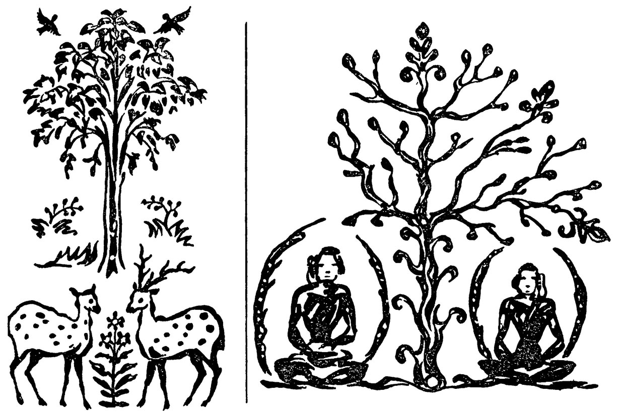Дерево фусан китайская мифология