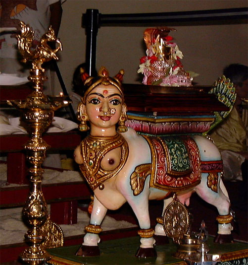 Божественная корова Сурабхи. Источник - alaivani.com